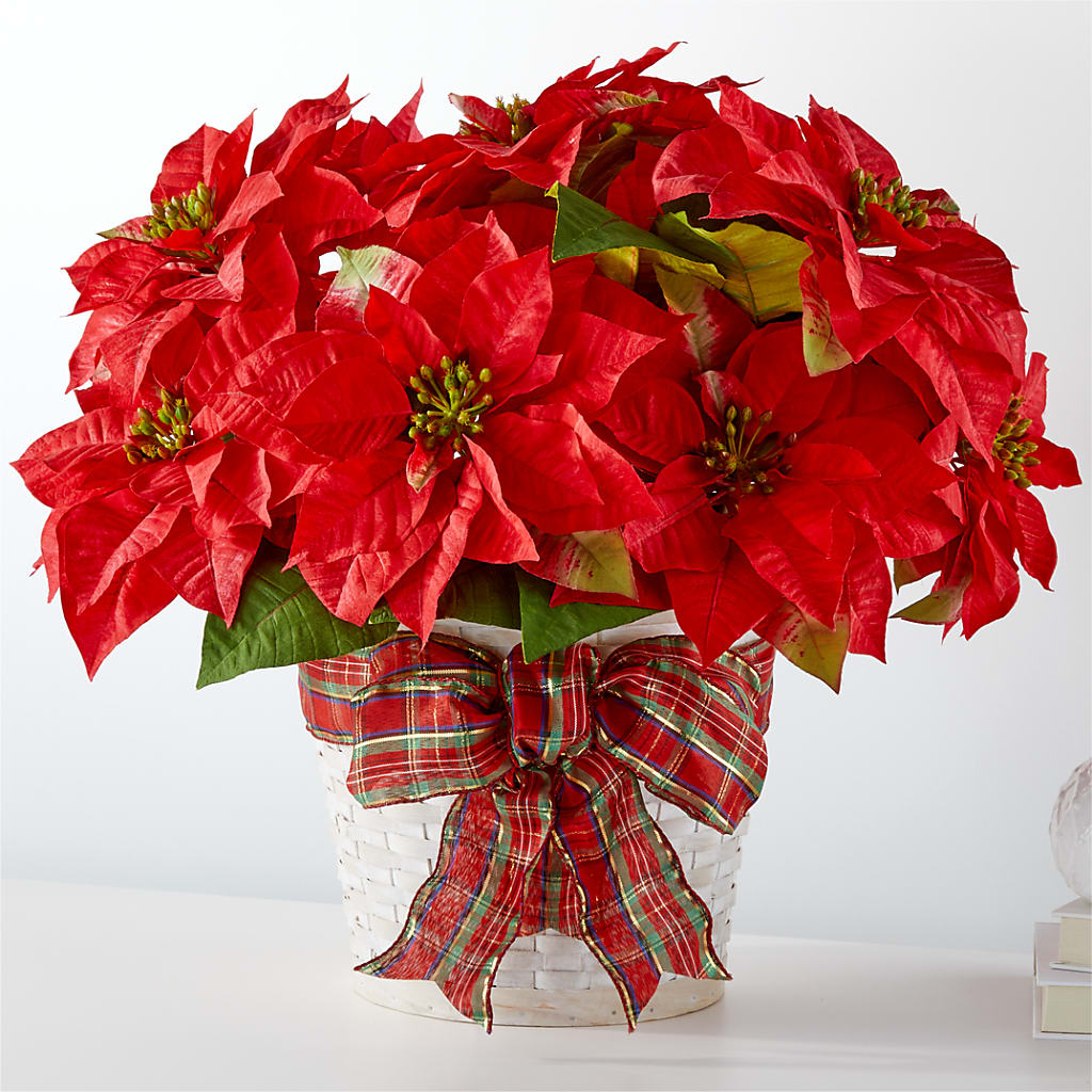 Happiest Holidays Poinsettia – PAUL'S FLOWERS, Charlottetown PE