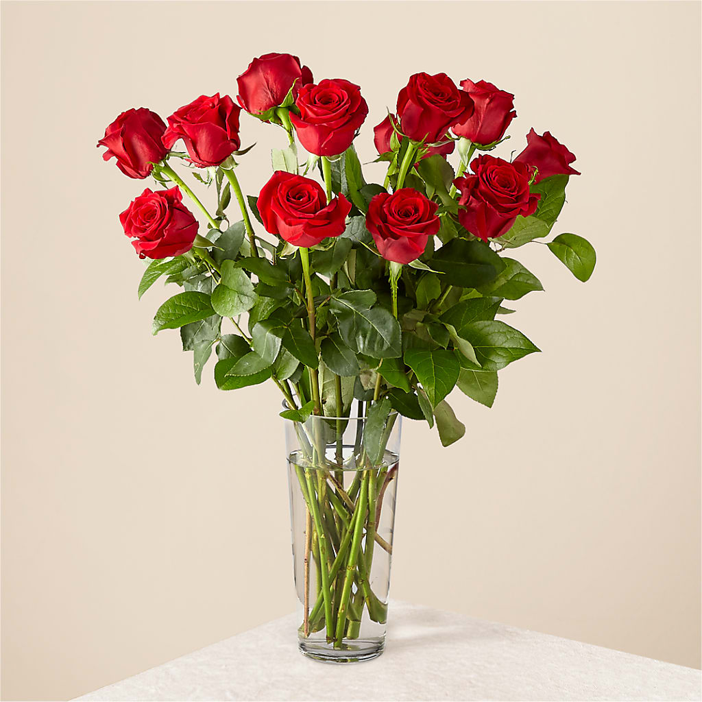 Long Stem Red Rose Bouquet – PAUL'S FLOWERS, Charlottetown PE