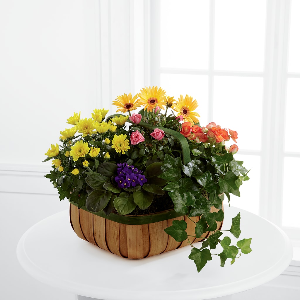 Gentle Blossoms Basket – PAUL'S FLOWERS, Charlottetown PE