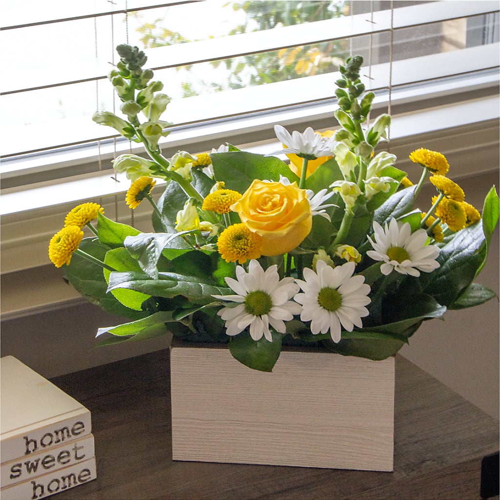Sun Salutation Box Bouquet – PAUL'S FLOWERS, Charlottetown PE