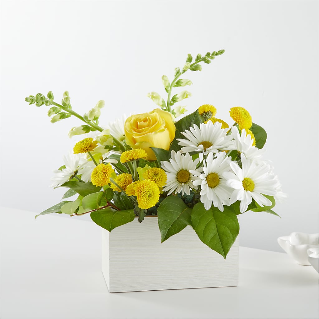Sun Salutation Box Bouquet – PAUL'S FLOWERS, Charlottetown PE