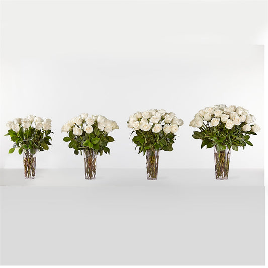 Long Stem White Rose Bouquet – PAUL'S FLOWERS, Charlottetown PE