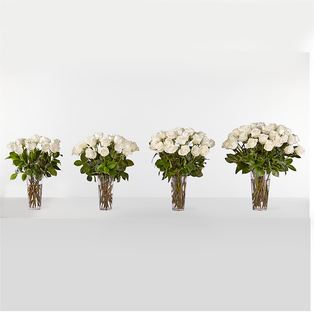 Long Stem White Rose Bouquet – PAUL'S FLOWERS, Charlottetown PE