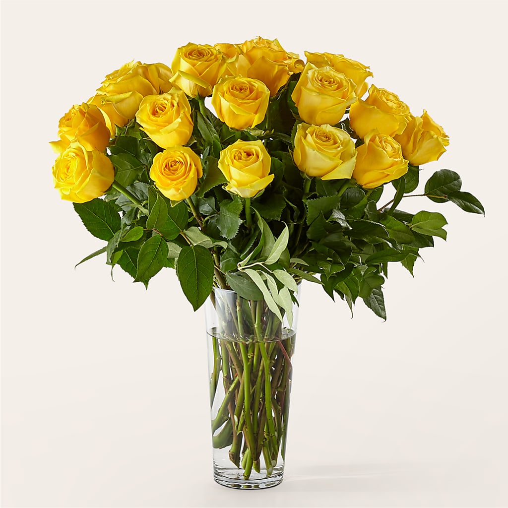 Long Stem Yellow Rose Bouquet – PAUL'S FLOWERS, Charlottetown PE