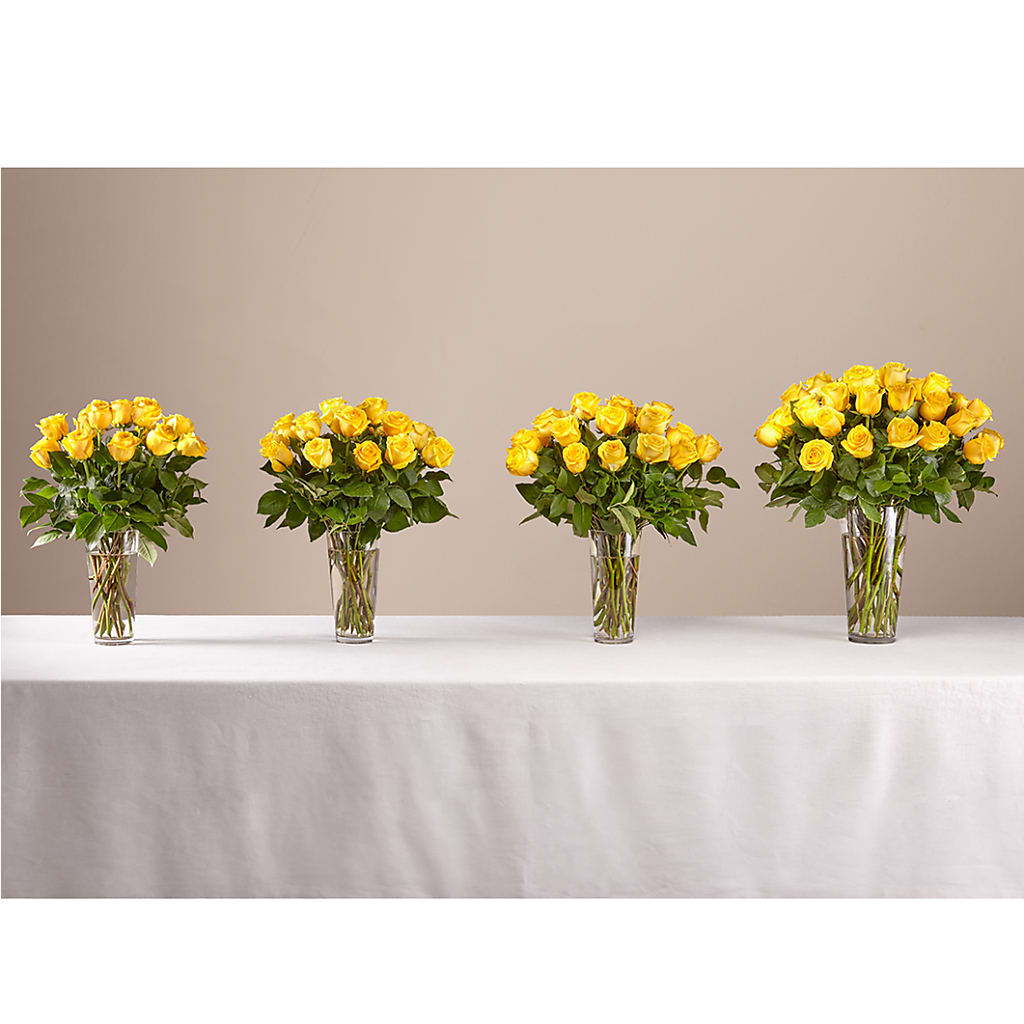 Long Stem Yellow Rose Bouquet – PAUL'S FLOWERS, Charlottetown PE