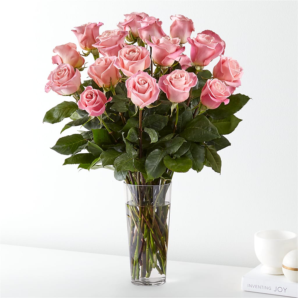 Long Stem Pink Rose Bouquet – PAUL'S FLOWERS, Charlottetown PE