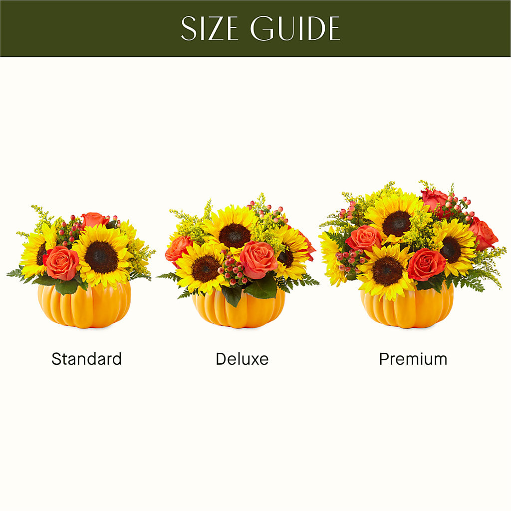 Pick of the Patch Pumpkin Bouquet – PAUL'S FLOWERS, Charlottetown PE