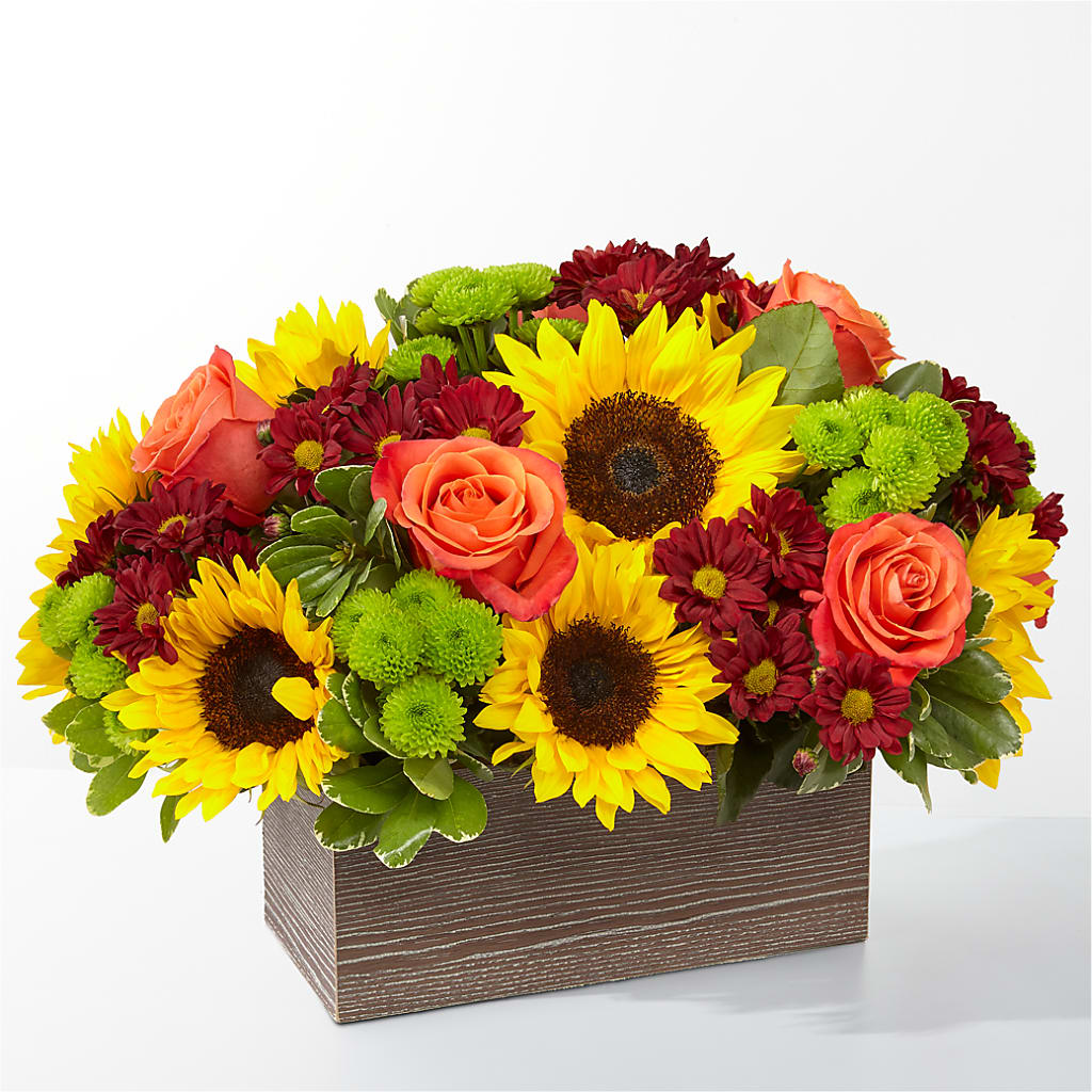 Happy Harvest Garden – PAUL'S FLOWERS, Charlottetown PE