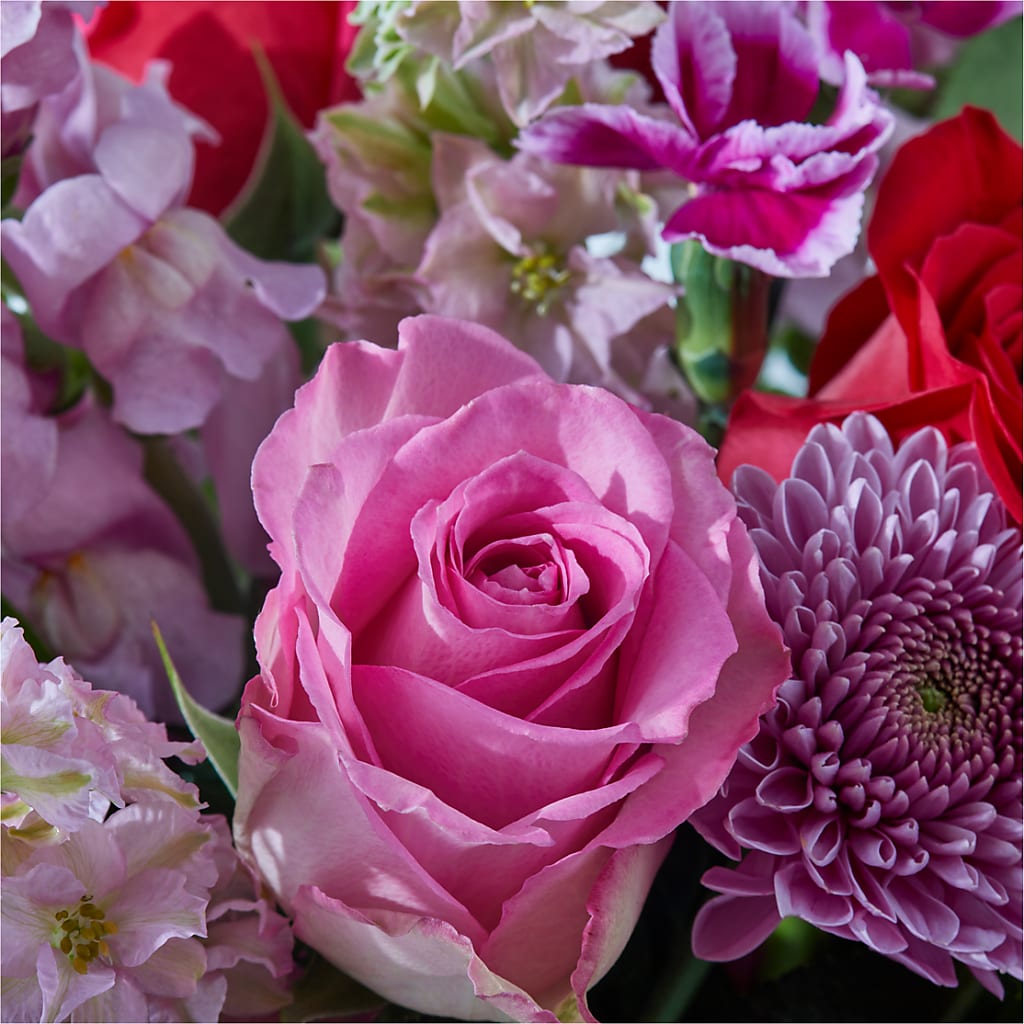 Better Together - A Luxury Florist Original – PAUL'S FLOWERS, Charlottetown PE