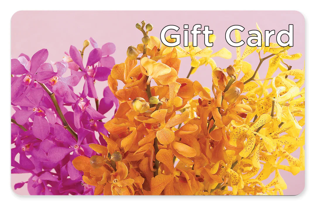 Gift Card – PAUL'S FLOWERS, Charlottetown PE
