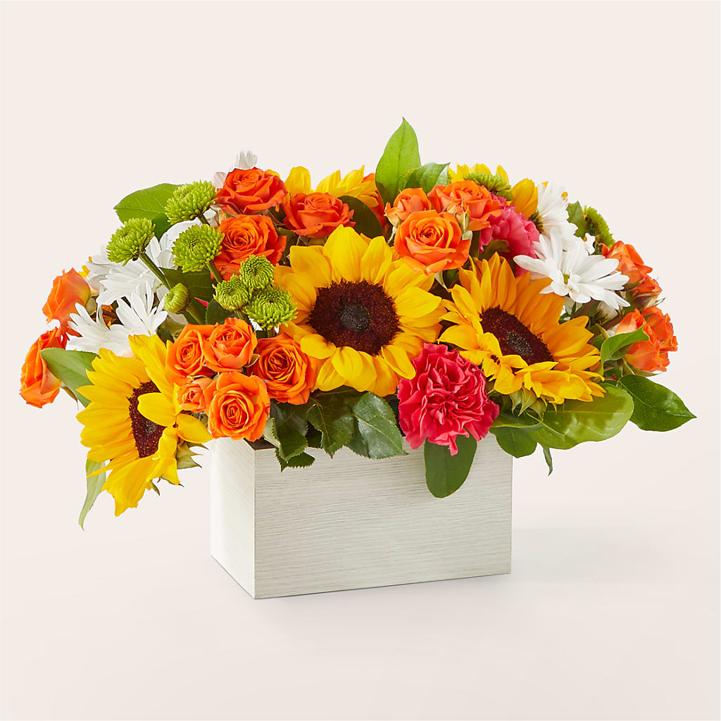 Sun-drenched Blooms Box Bouquet – PAUL'S FLOWERS, Charlottetown PE