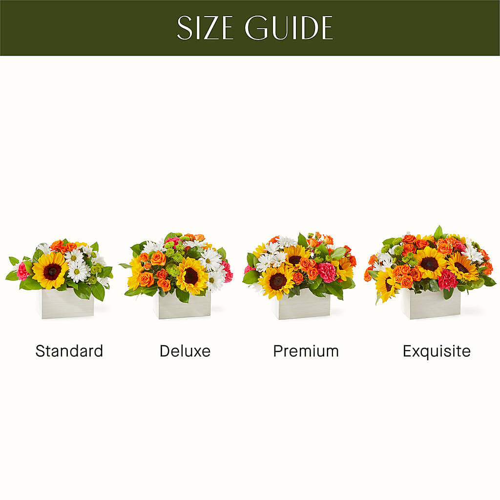 Sun-drenched Blooms Box Bouquet – PAUL'S FLOWERS, Charlottetown PE
