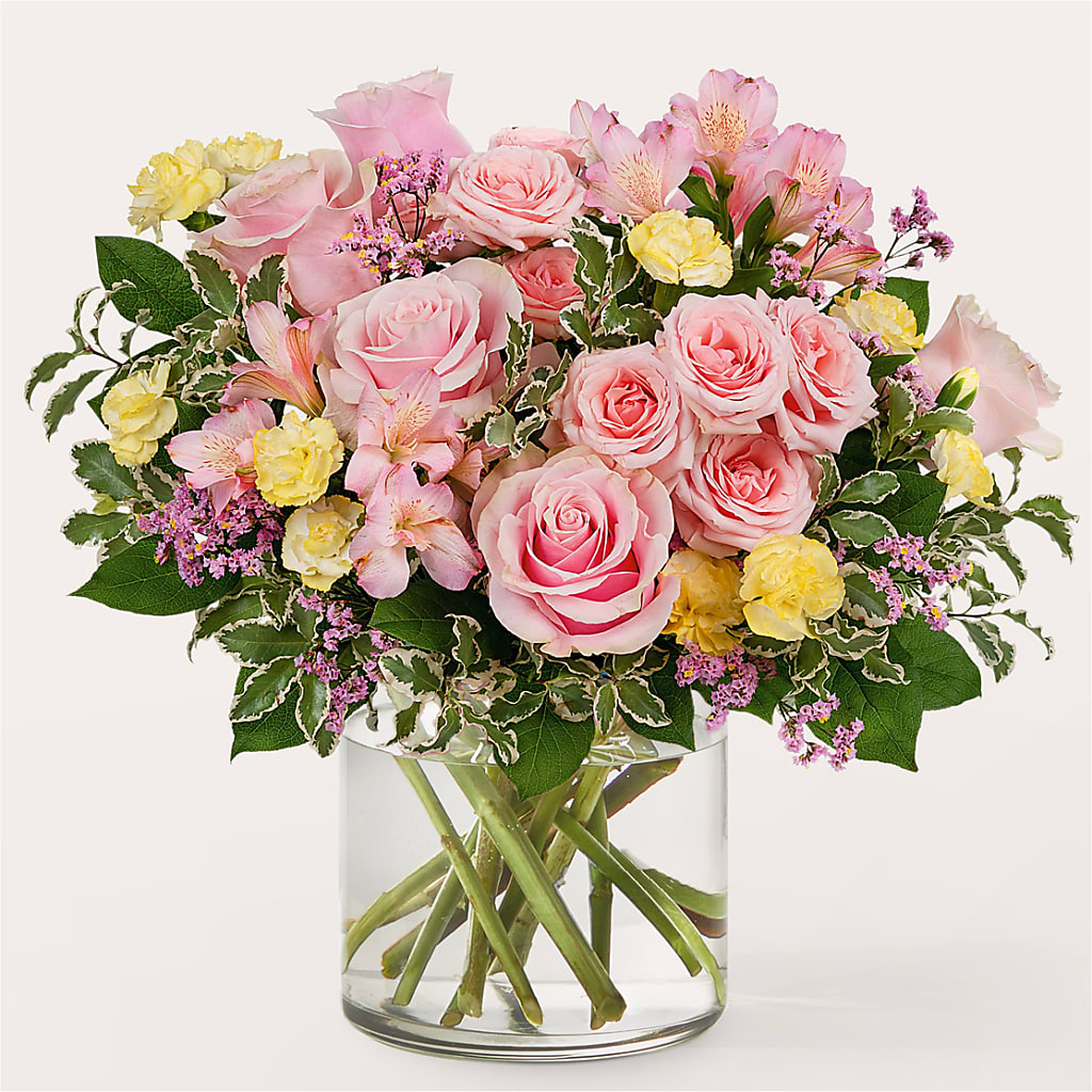 Refreshed Bouquet – PAUL'S FLOWERS, Charlottetown PE