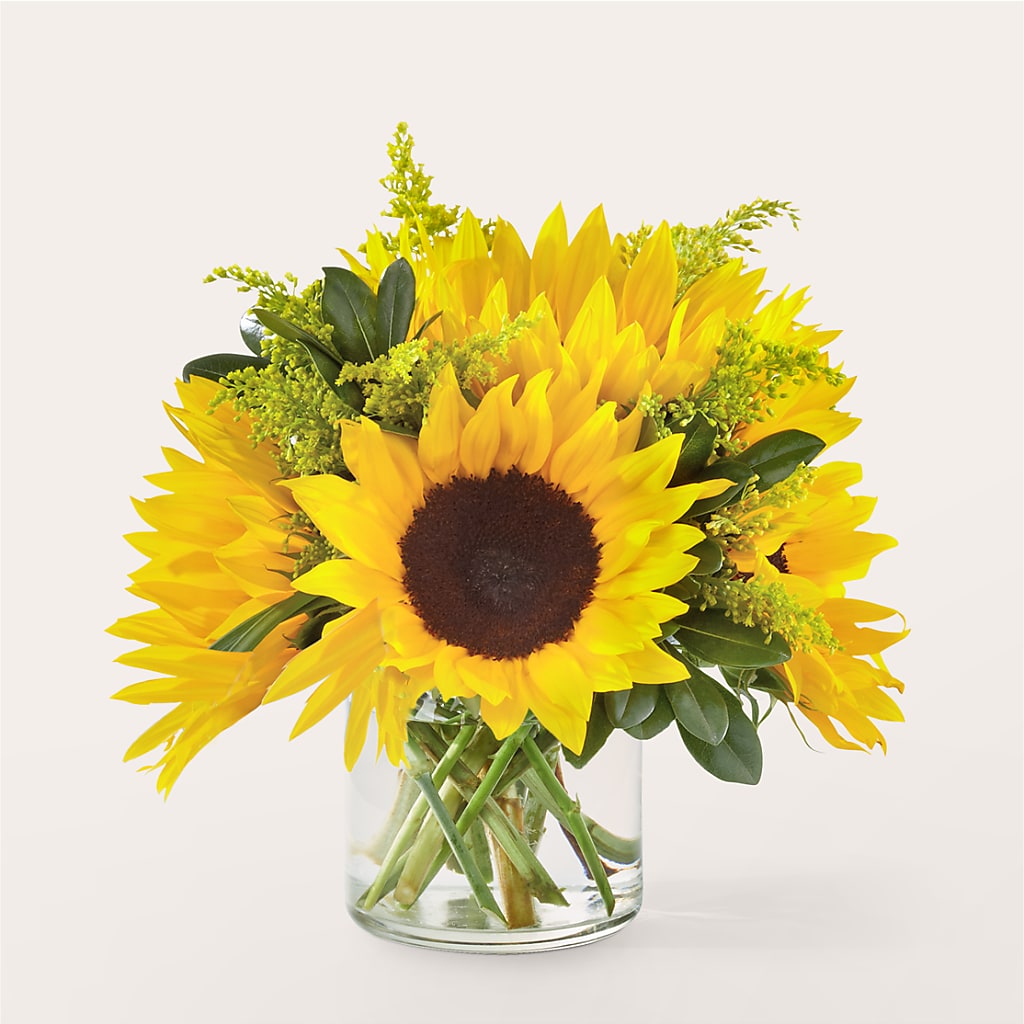Beaming Sunflower Bouquet – PAUL'S FLOWERS, Charlottetown PE