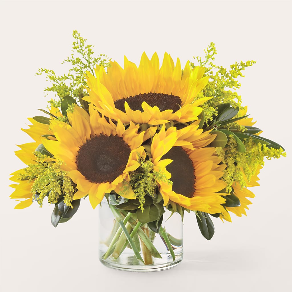 Beaming Sunflower Bouquet – PAUL'S FLOWERS, Charlottetown PE