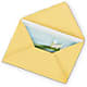 Greeting Card – PAUL'S FLOWERS, Charlottetown PE