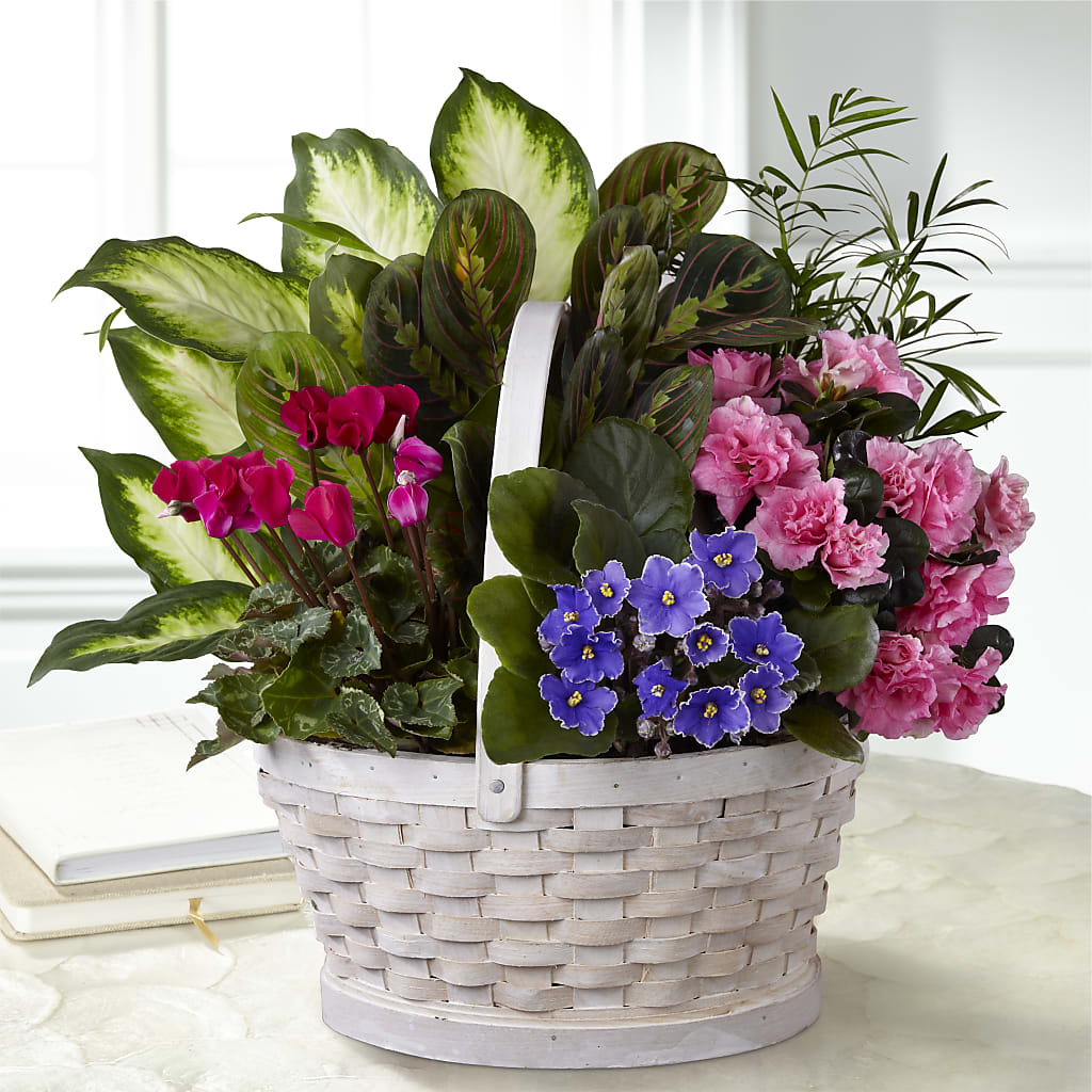 Peaceful Garden Planter – PAUL'S FLOWERS, Charlottetown PE
