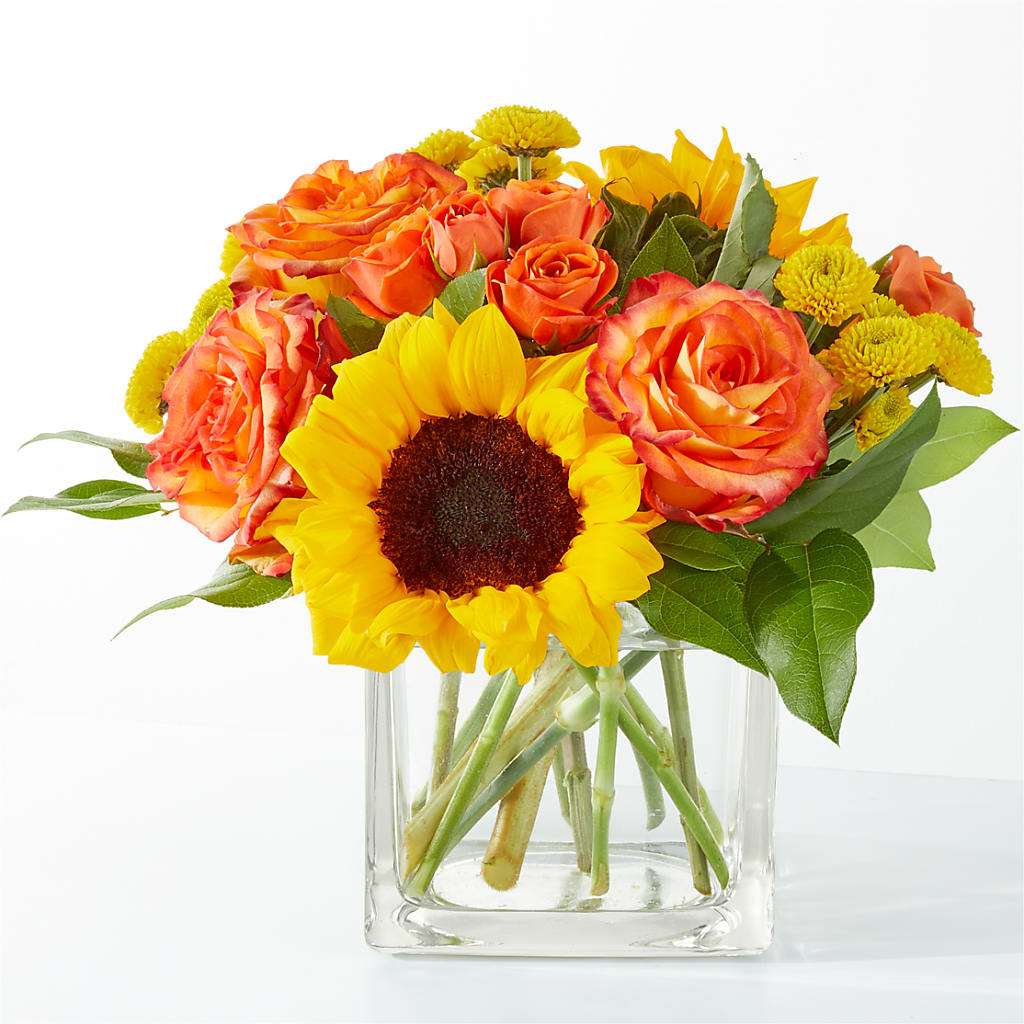 Picnic in the Park Bouquet – PAUL'S FLOWERS, Charlottetown PE