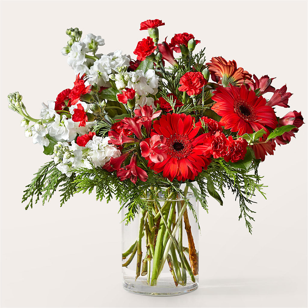 Holidaisy Bouquet – PAUL'S FLOWERS, Charlottetown PE