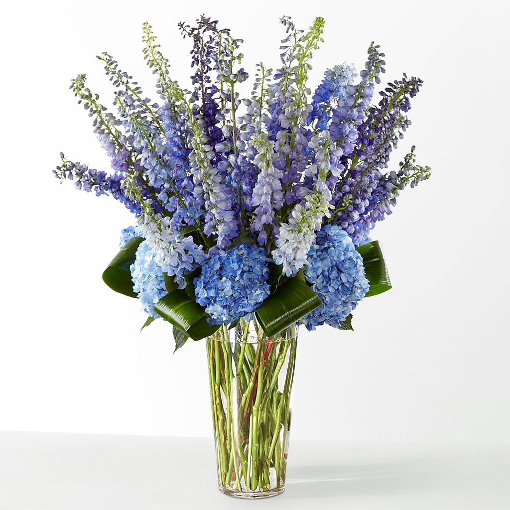 The Editorial – PAUL'S FLOWERS, Charlottetown PE
