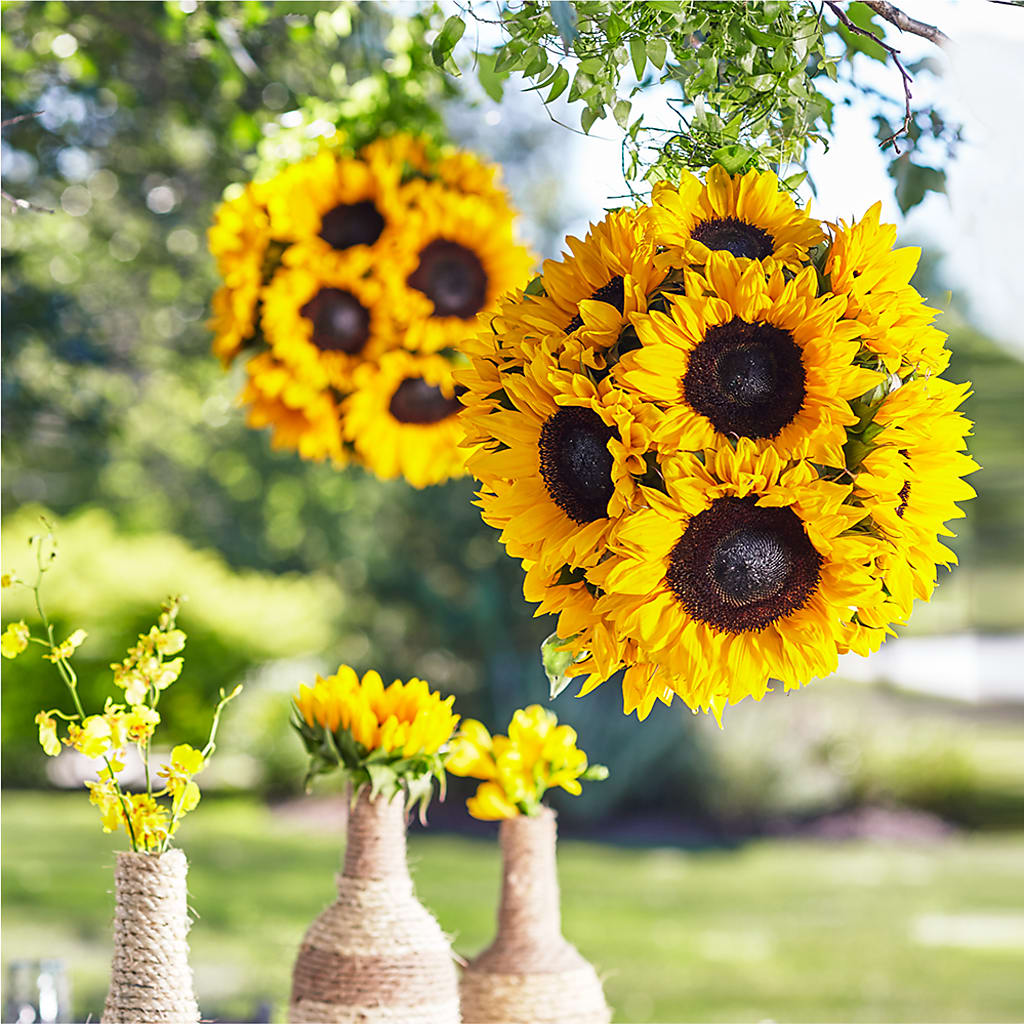 Sublime Garden Hanging Arrangement – PAUL'S FLOWERS, Charlottetown PE