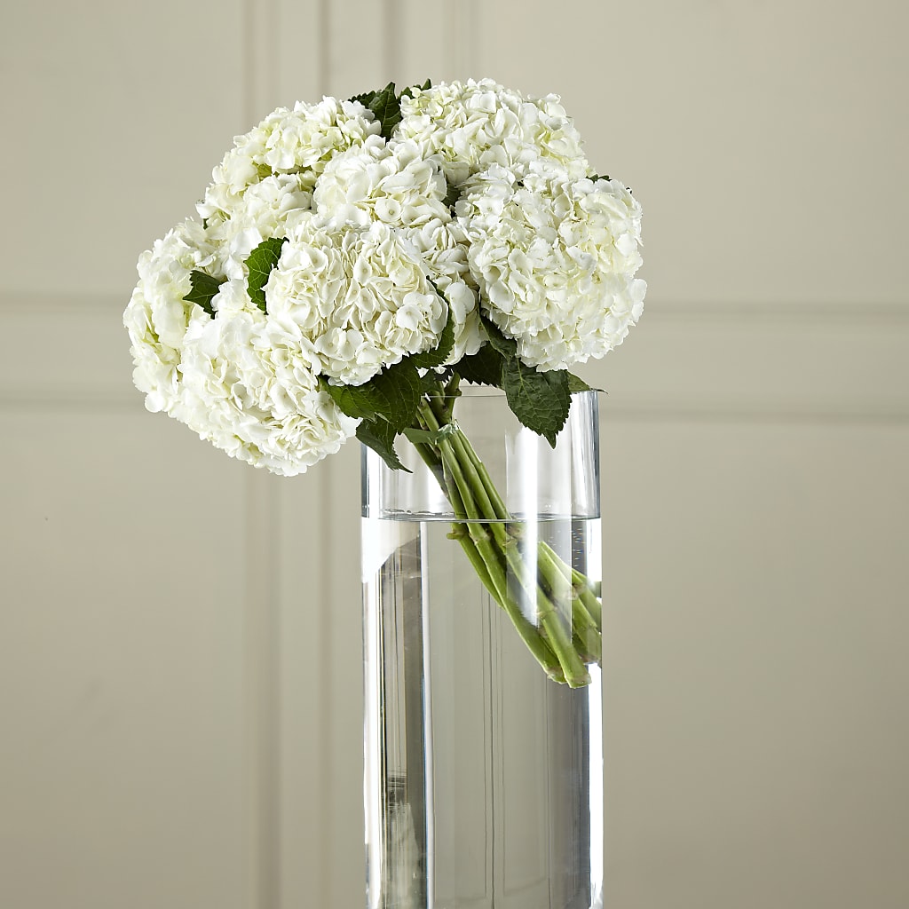 White Hydrangea Hand-Tied Bouquet – PAUL'S FLOWERS, Charlottetown PE