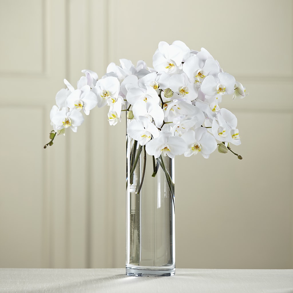 White Phalaenopsis Bouquet – PAUL'S FLOWERS, Charlottetown PE