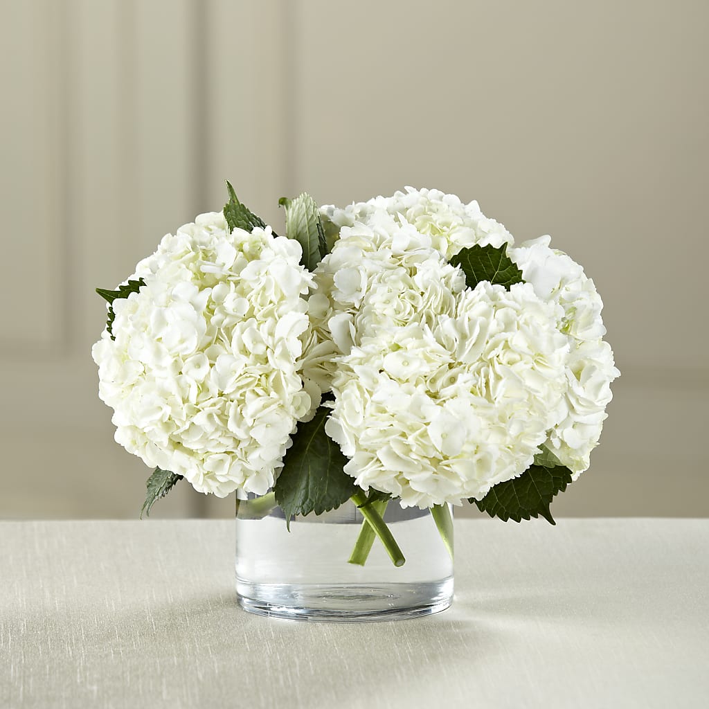 White Hydrangea Bouquet – PAUL'S FLOWERS, Charlottetown PE