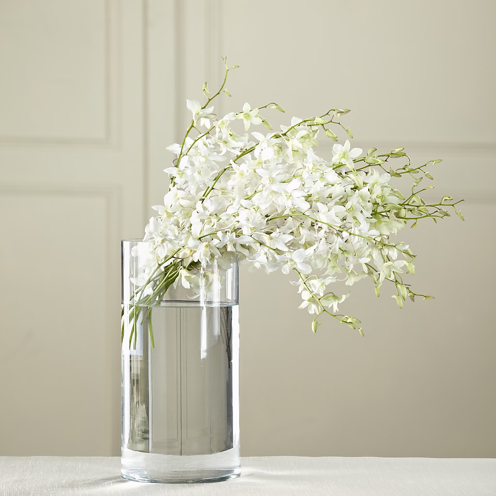 White Dendrobium Bouquet – PAUL'S FLOWERS, Charlottetown PE