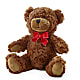 Adorable Plush Bear – PAUL'S FLOWERS, Charlottetown PE