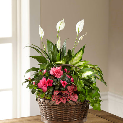 Dream in Pink Dishgarden – PAUL'S FLOWERS, Charlottetown PE