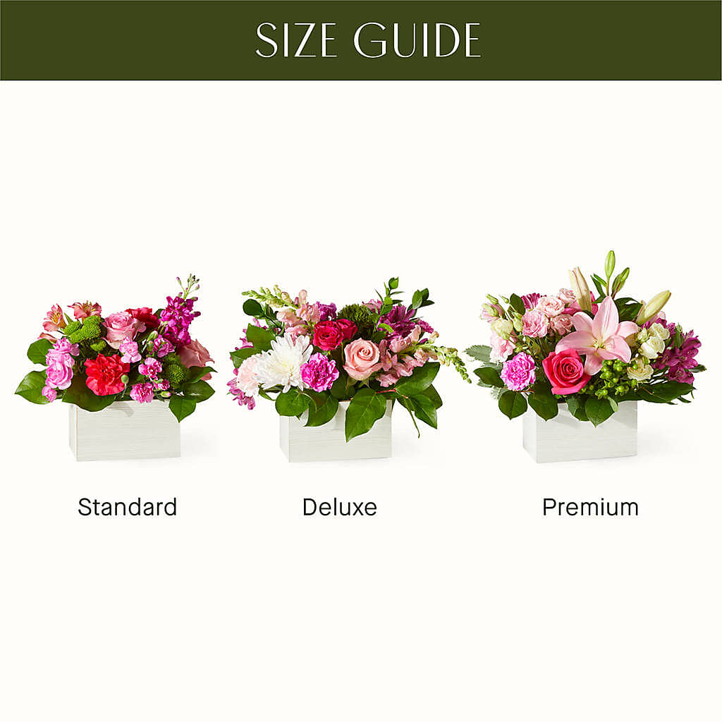 Sweetberry Box – A Florist Original – PAUL'S FLOWERS, Charlottetown PE