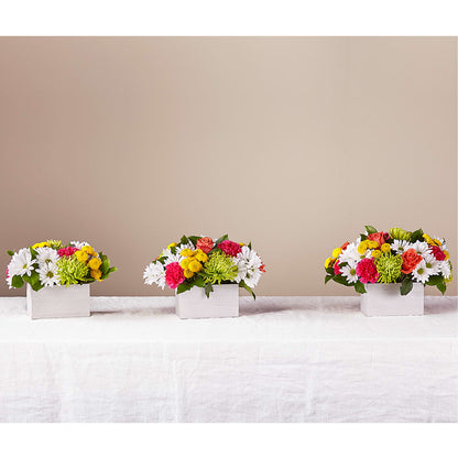Sorbet Bouquet – PAUL'S FLOWERS, Charlottetown PE
