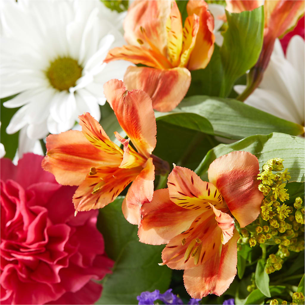 Oopsie Daisy Box Bouquet – PAUL'S FLOWERS, Charlottetown PE