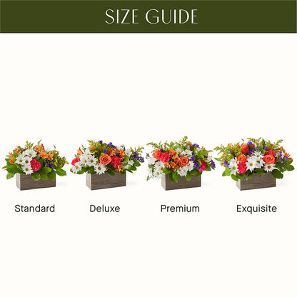 Oopsie Daisy Box Bouquet – PAUL'S FLOWERS, Charlottetown PE
