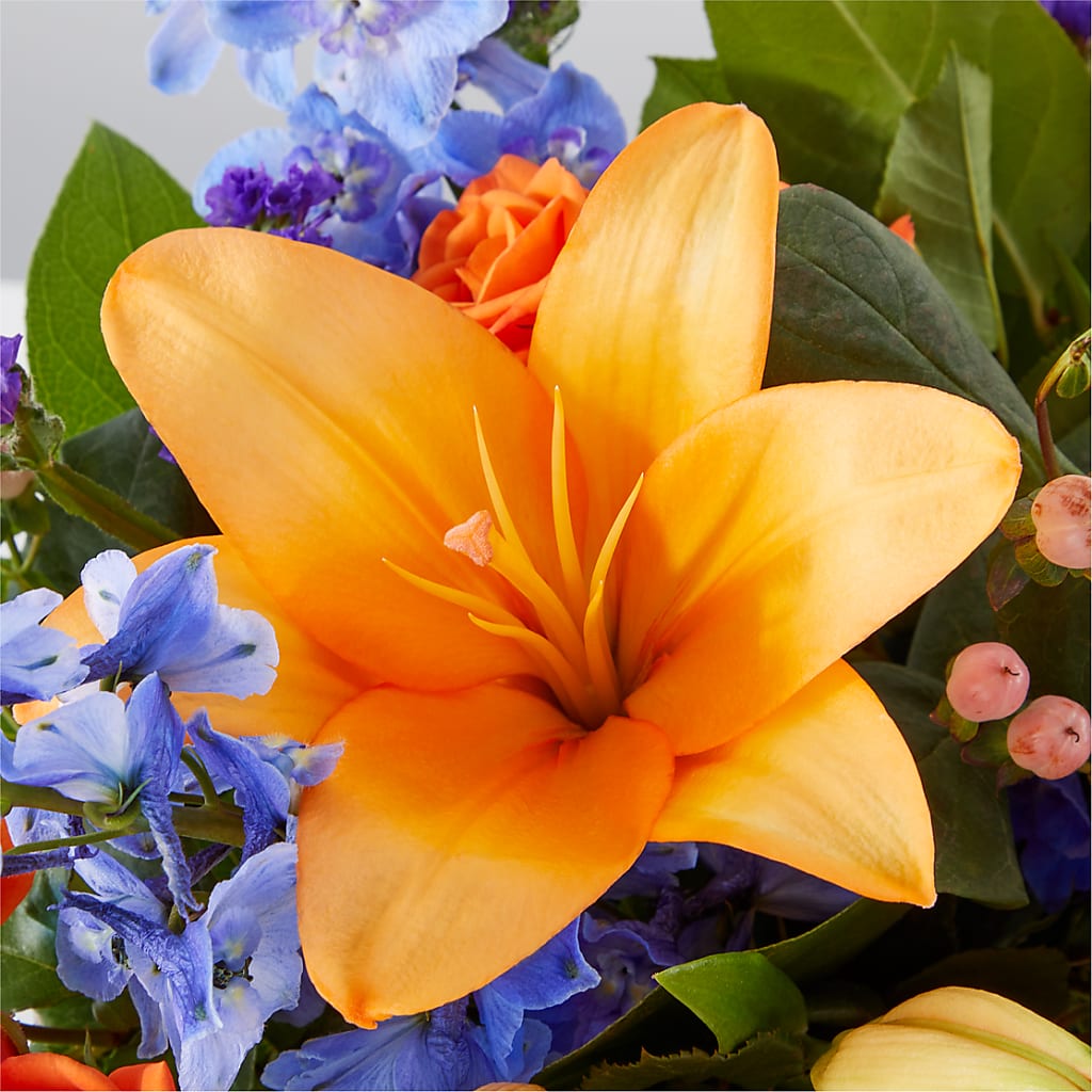 Radiant Citrus Box Bouquet – PAUL'S FLOWERS, Charlottetown PE