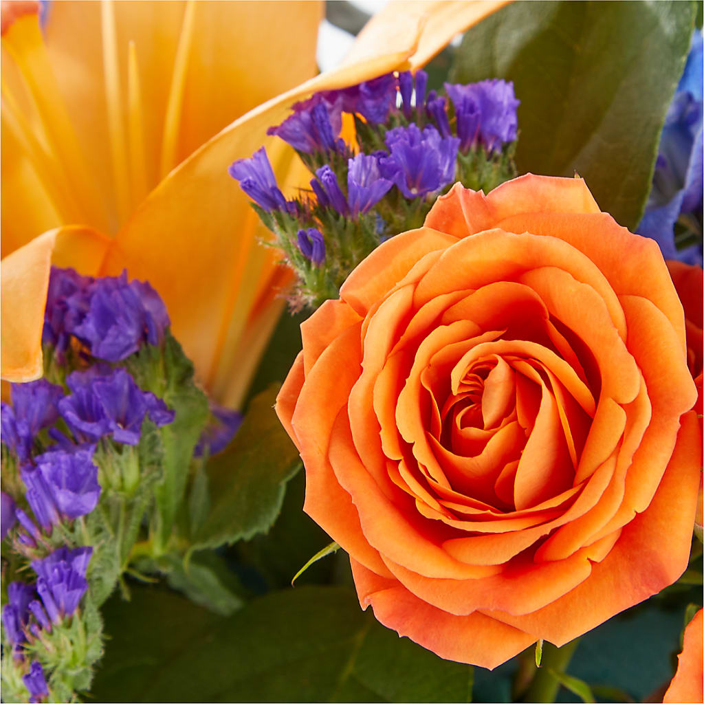 Radiant Citrus Box Bouquet – PAUL'S FLOWERS, Charlottetown PE