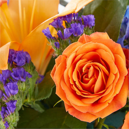 Radiant Citrus Box Bouquet – PAUL'S FLOWERS, Charlottetown PE
