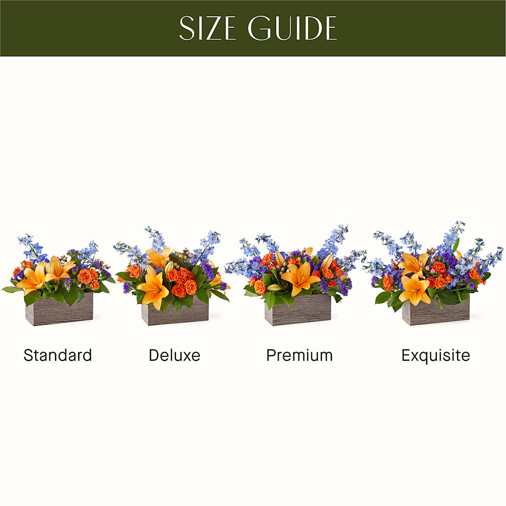 Radiant Citrus Box Bouquet – PAUL'S FLOWERS, Charlottetown PE
