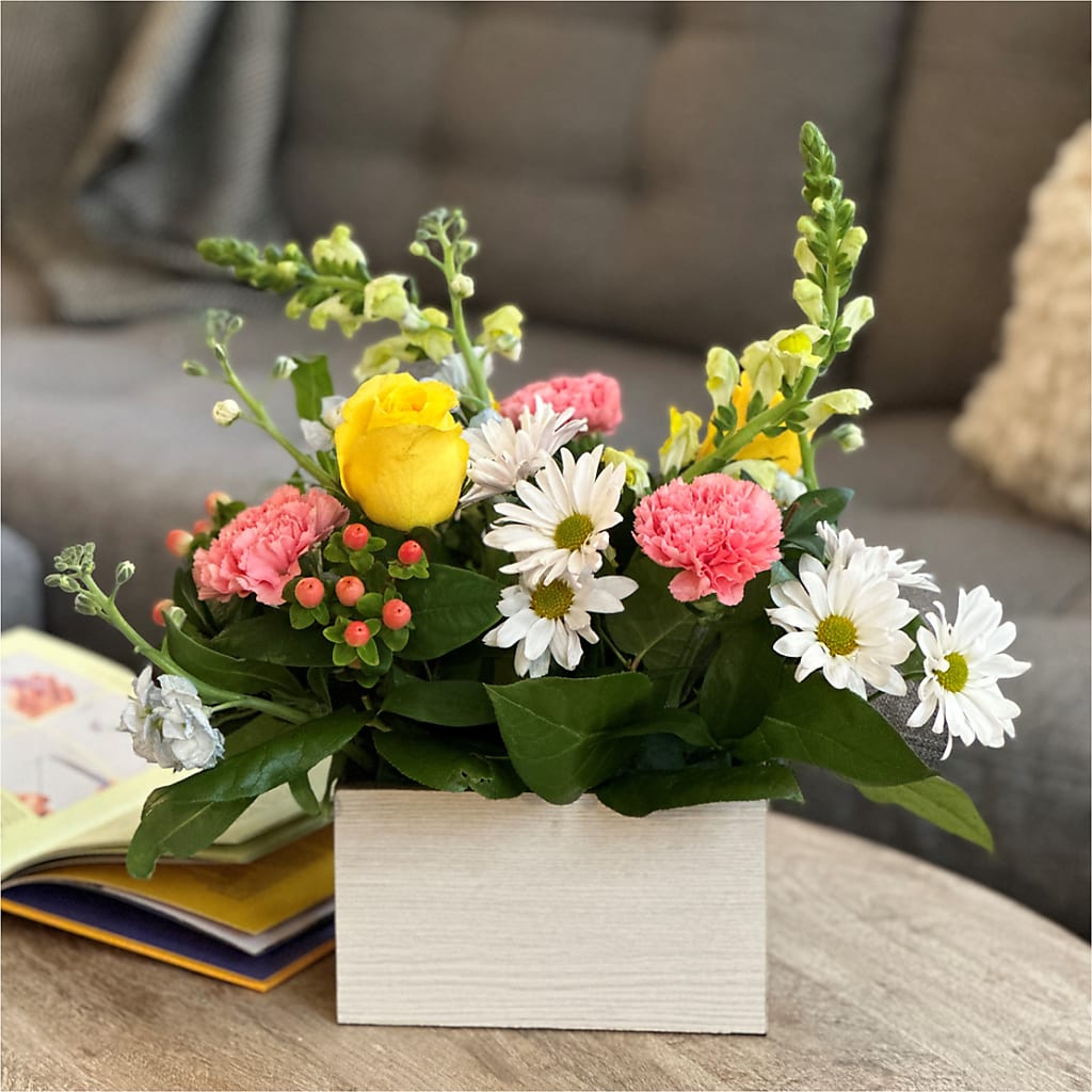 Sun Salutation Box Bouquet – PAUL'S FLOWERS, Charlottetown PE