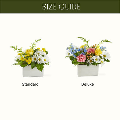 Sun Salutation Box Bouquet – PAUL'S FLOWERS, Charlottetown PE