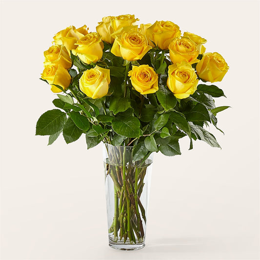 Long Stem Yellow Rose Bouquet – PAUL'S FLOWERS, Charlottetown PE