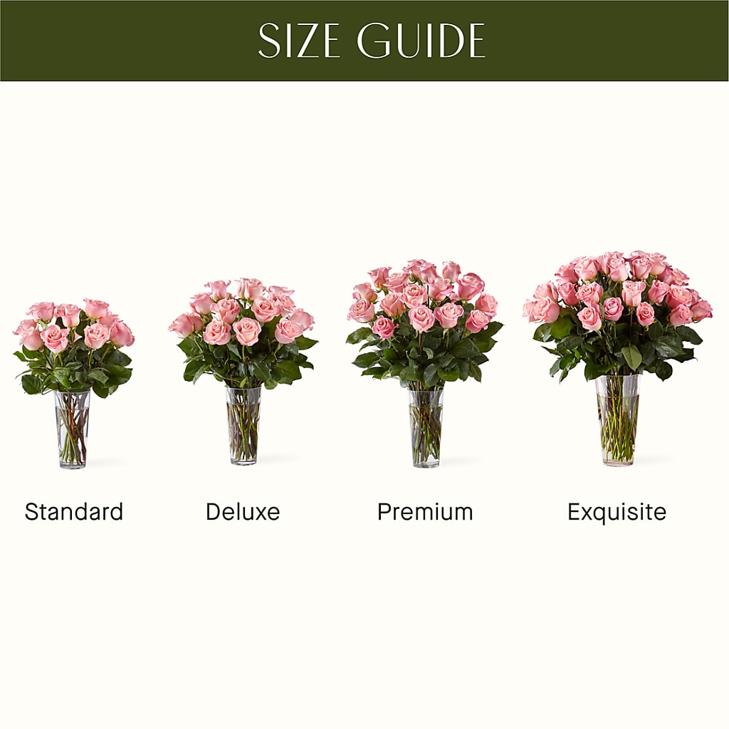 Long Stem Pink Rose Bouquet – PAUL'S FLOWERS, Charlottetown PE