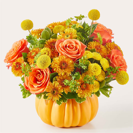 Gourdgeous Pumpkin – PAUL'S FLOWERS, Charlottetown PE