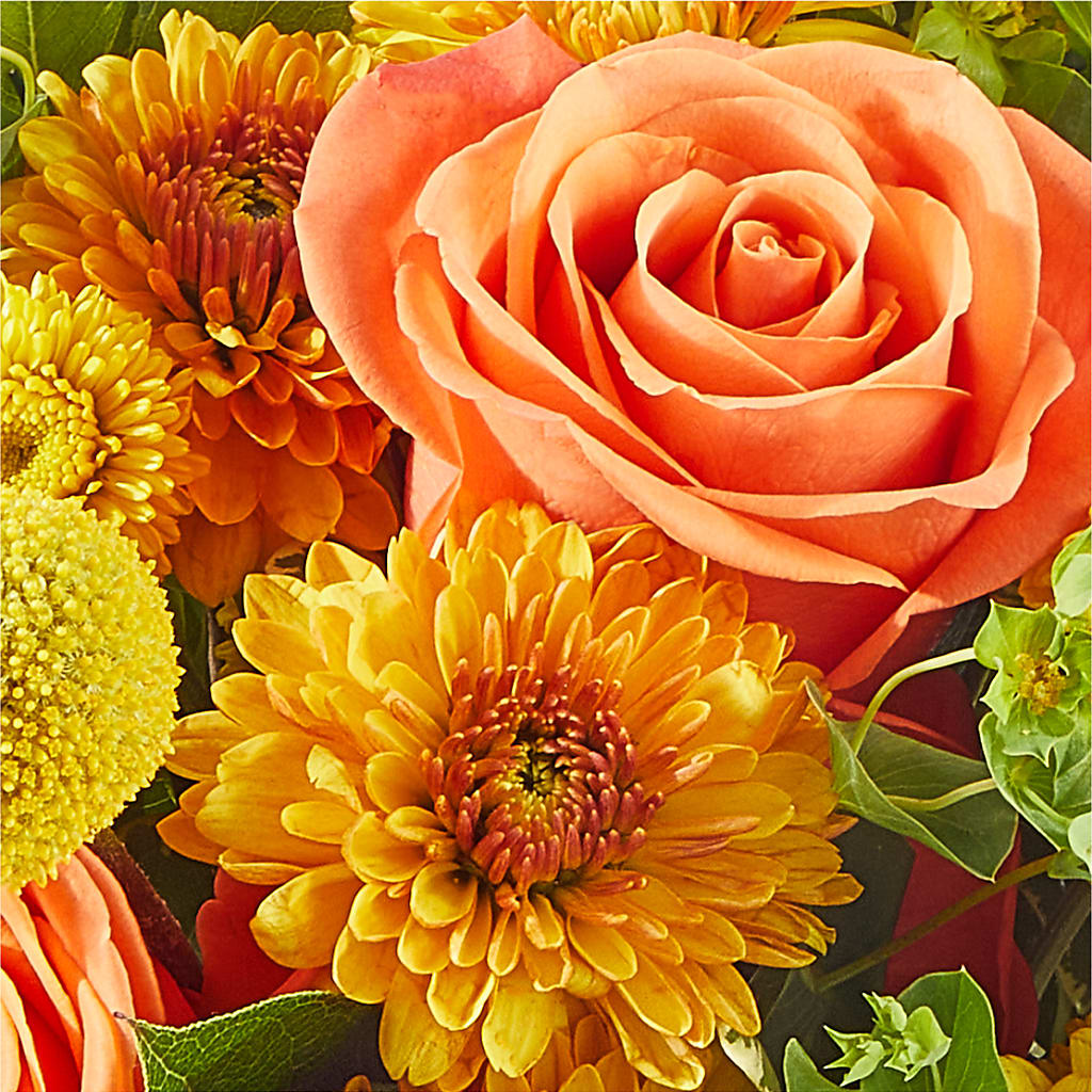 Gourdgeous Pumpkin – PAUL'S FLOWERS, Charlottetown PE