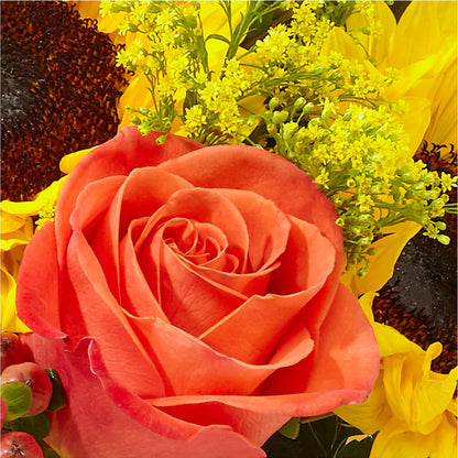 Pick of the Patch Pumpkin Bouquet – PAUL'S FLOWERS, Charlottetown PE