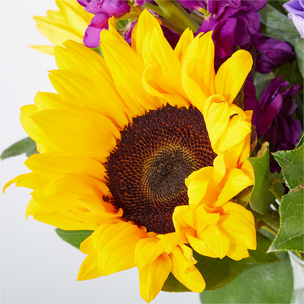 Catching Rays Bouquet – PAUL'S FLOWERS, Charlottetown PE