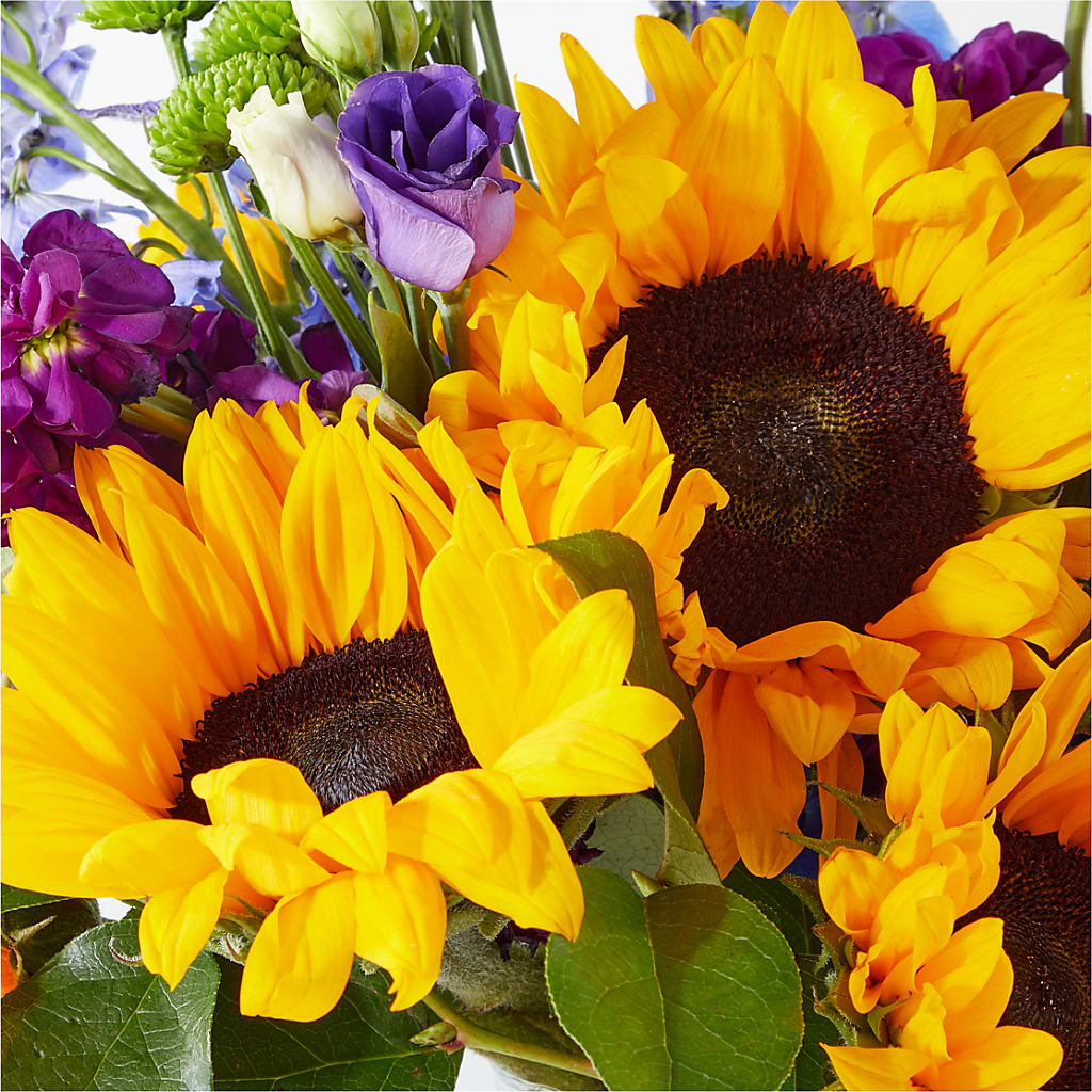 Catching Rays Bouquet – PAUL'S FLOWERS, Charlottetown PE