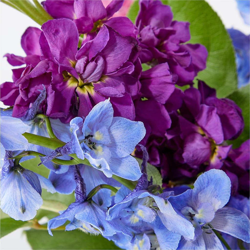 Twilight Glow Bouquet – PAUL'S FLOWERS, Charlottetown PE