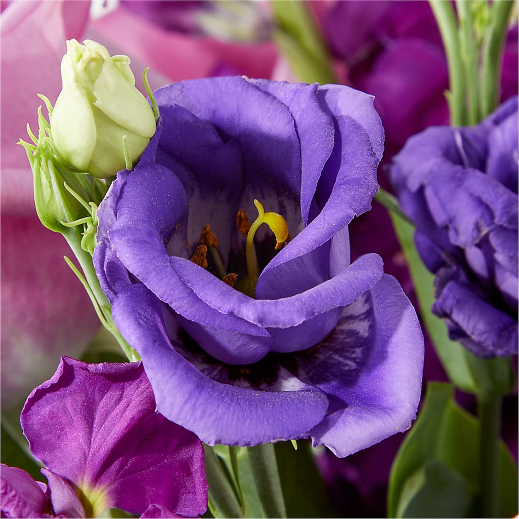 Twilight Glow Bouquet – PAUL'S FLOWERS, Charlottetown PE